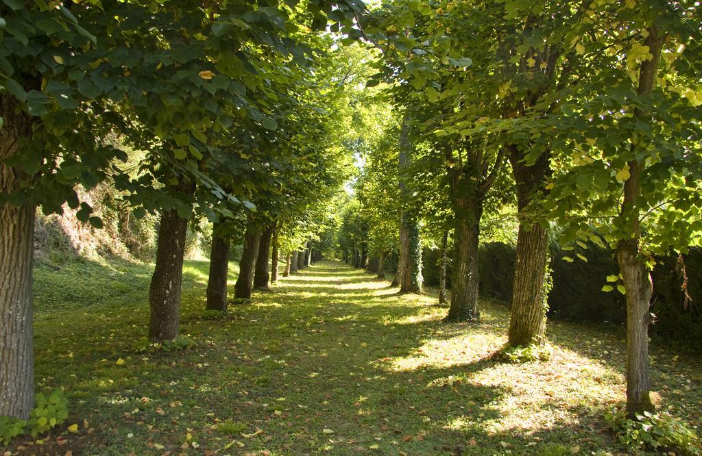 Chateau De Hotel 4*